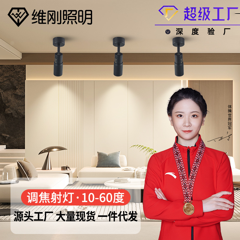 明装轨道灯LED调焦轨道射灯家用COB小山丘射灯中山工厂无主灯