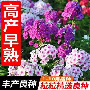 ���羳��؛�����l���������N�ļ����Nֲ���҃Ȼ����Բݻ����̨��