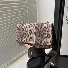 2025�ļ��¿�С�������y�羳Ů���߼�����W�����С���μ�б���