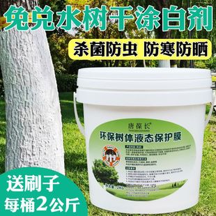 ��ľ������x�T�ׄ���ɿ�˪������ˢ�������ˢ�ׄ�ʯ��τ�