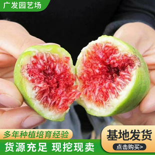 ���طNֲ�����o��������  ���κø�ϵ�l�_ ��Ƥ�o������