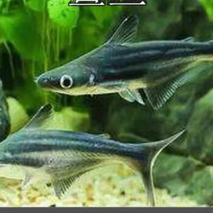 ��ˮ���~���w�����^�p�~���ͻ��^���{���׻����~���~���~