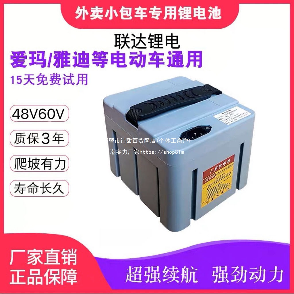 国标电动车锂电池48V60V小包车电池代驾外卖两轮车通用型锂电瓶