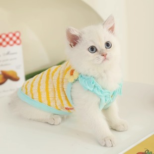 Cat Clothes summer anti-lint cloth doll cat spring and autumn kitten summer sling kitten pet thin cat vest