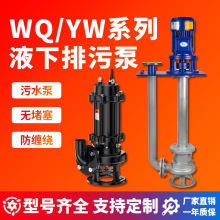 源头工厂无堵塞潜水排污泵WQ型离心增压液下长轴泥浆杂质真空泵