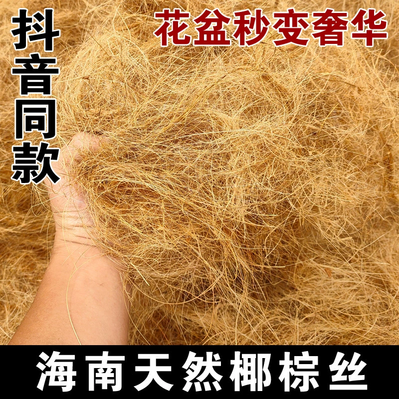 Хайнаньский кокосовый шелк, натуральный садовый зеленый цветок в горшке, украшение, цветочный горшок, почва, кокосовые волосы, кокосовая кожа, зеленая редька, палочка, кокосовая пальма