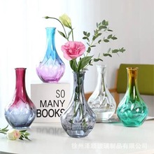 北欧创意玻璃花瓶小口径透明彩色渐变水培插花鲜花桌面摆件家用