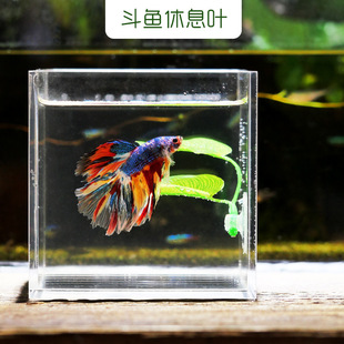 Aquarium Pet Supplies Decoration Simulation Water Grass Fish Tank Landscaping Artificial Simulation Bucket Fish Leaves Rest Leaves Spawning Leaves