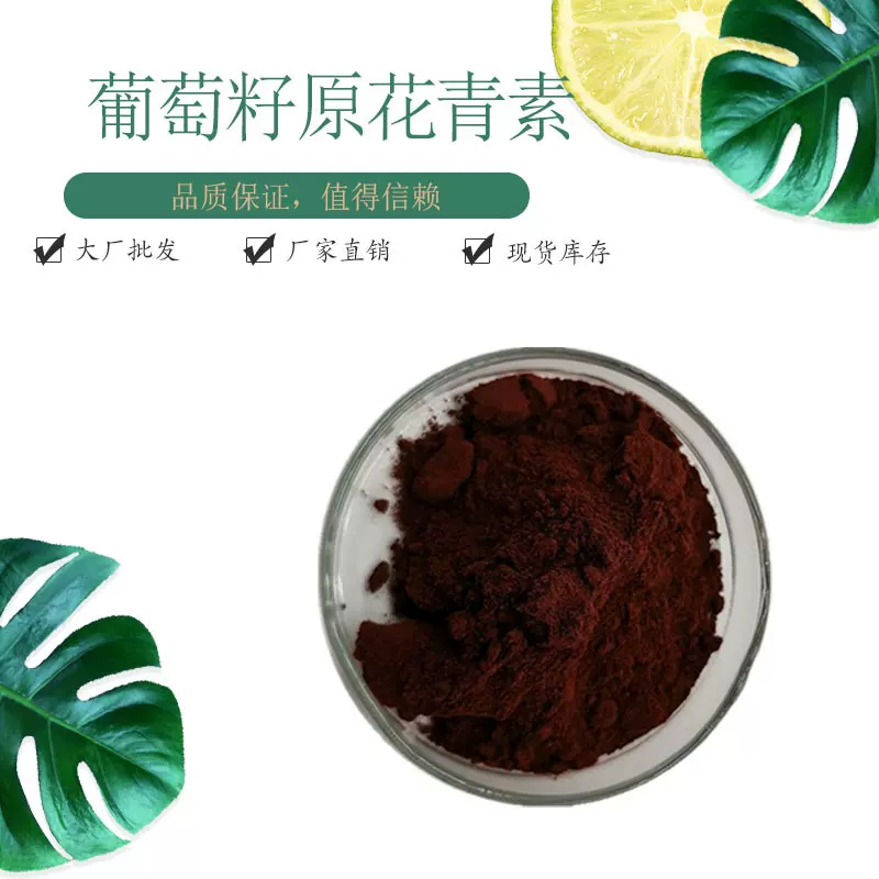 原花青素98% OPC植物萃取葡萄籽提取物 现货包邮花青素粉赛恩生物