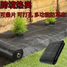 �羳���u���ݲ����l������ݲ����@�w�ڲ�Ƭ�b���@���ݵز����b�B