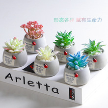 北欧ins风摆件植物桌面小盆栽仿真创意绿植水泥假多肉可爱装饰品