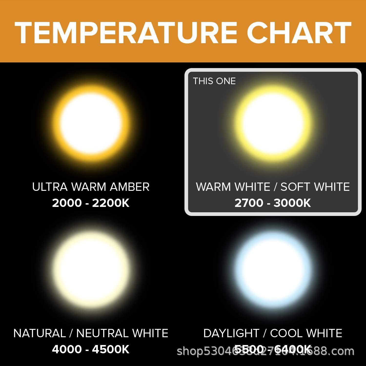 DM_20250215104214_005