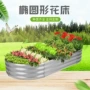 椭圆形种植户外garden花床