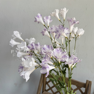 ���滨�U����đ������ɏ���Rˮ�� �Ҿӻ�c���յ��߼ٻ��b����l