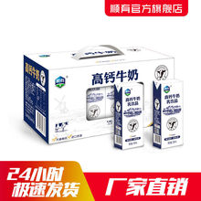 新日期无糖高钙牛奶中老年整箱批发学生早餐奶营养礼盒装厂家直销