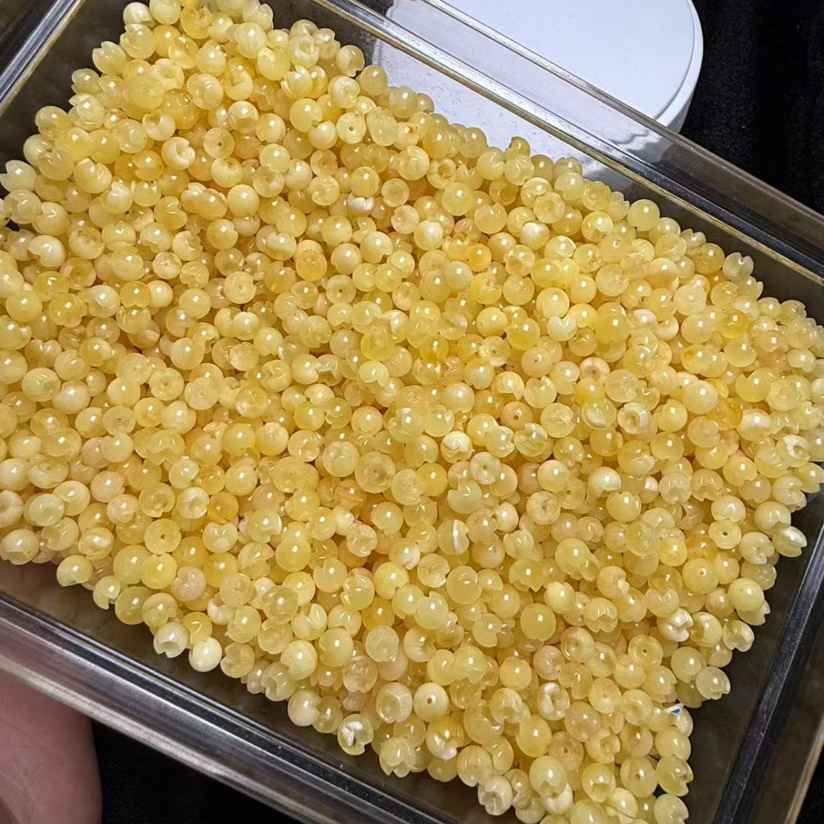 2025-02-25 18:53:33.jpg