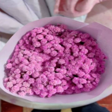 Роза цветы базовая ставка Юньань Куньмин прямая доставка лилия длинные волосы подсолнух красная фасоль хозяйство свежие срезанные воды