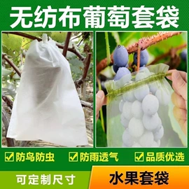 无纺布袋;家用防尘罩;一次性围裙