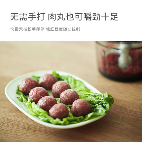 Olayks Olayk meat grinder household electric small mini multi-functional meat grinder garlic food supplement machine