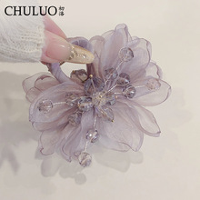CL42�߼���ŷ��ɴ����ץ�������Χ�к����̷���������ʰ�������