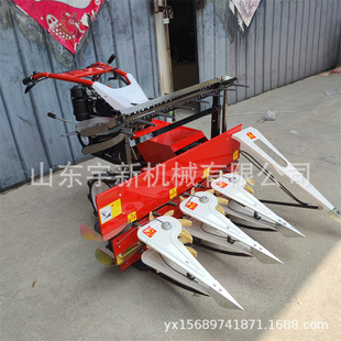 ����ʽ�������C�Ŀݲ��ո�C �ַ�С�����~�ո�C