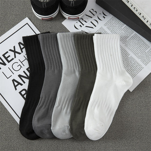 �ﶬ��������Ͳ�m��ɫ�����̄����e�\�Ӱٴ��L�m���������Q�l�m��