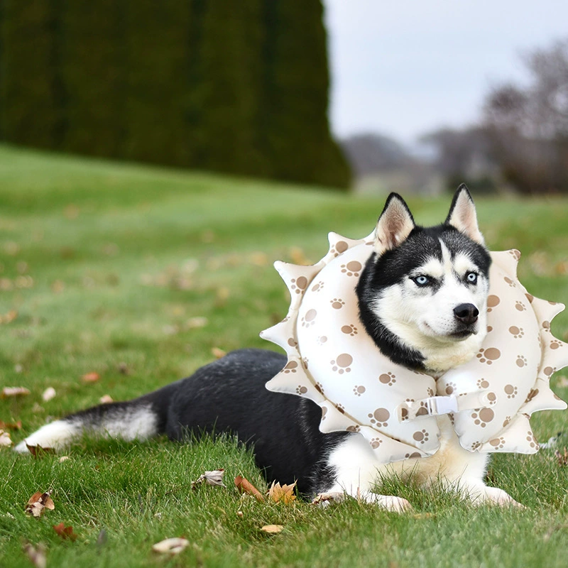Новый надувной ошейник Элизабет, надувной ошейник для домашних животных, анти-укус, красота, анти-лизание, производители Ошейников для собак и кошек