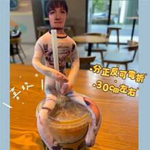 ����������¿���������߅����ɟo��߅������ż��֫���x�йǼ�