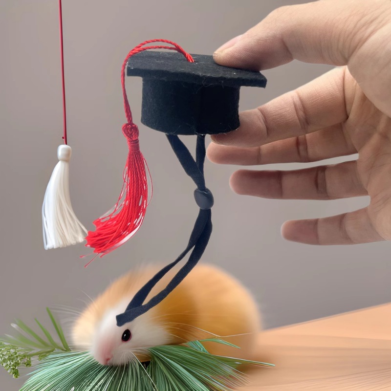 Sombrero de hámster, sombrero de médico de hámster, sombrero de soltero, flecos, mascota elástica, sombrero decorativo lindo, sombrero de pájaro loro image 4