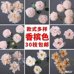 �����㙉ɫϵ�����c�����F�����m��Y�ù����b���һ�����l