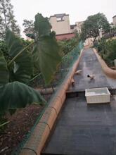 �¿��B�u�W�Bֳ�W���ھW�o�ږřھW�ӑ���ˈ@���xɽ�u����������