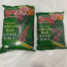 IB@ˇN Ӂ谫軨 @ˇN