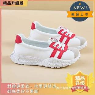 ��Ь�ЋD��ЬŮ2025�¿�����ܛ���݌��e�_���[���ɑ����\