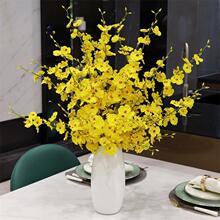 5���ֹ��S�����|�����m���滨�ٻ��b�ˇ�����m�����m�S�����l