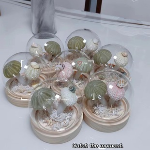 Best Friend's Birthday Girlfriend Shell Lamp Insdiy Handmade Wedding Gift Sea Urchin Souvenir Mushroom Lamp Night Light