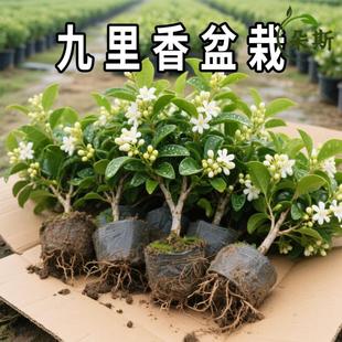 Ի҃ȿ͏dѭh_ֲͥԺBҹ