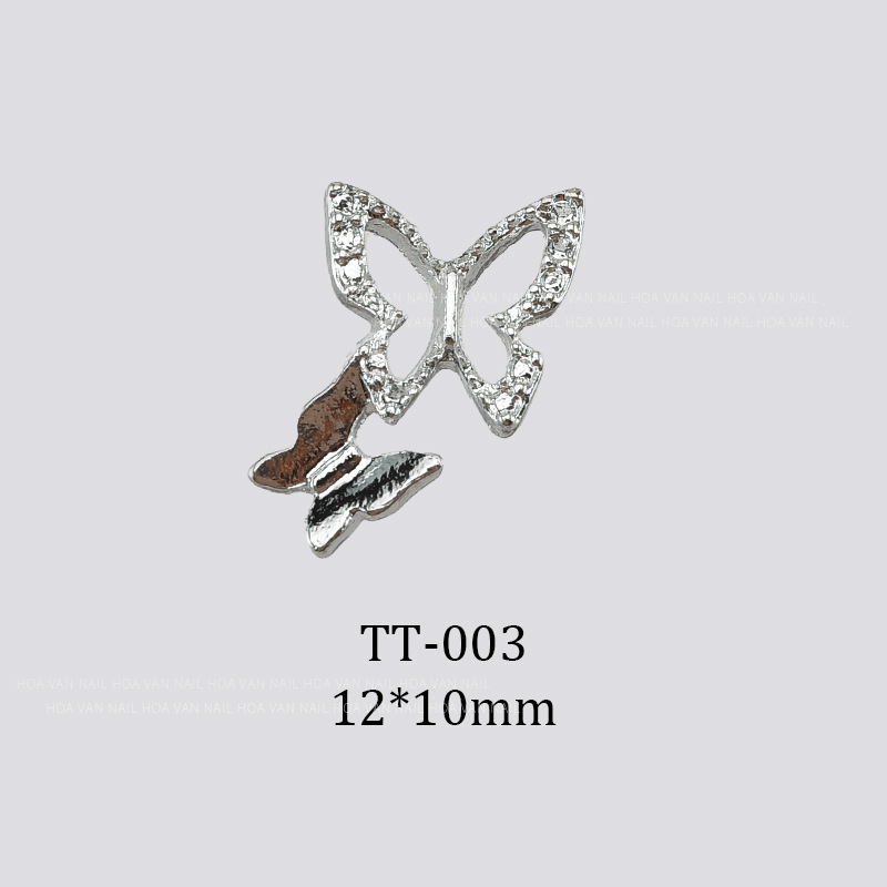 TT-003(브라이트 실버)