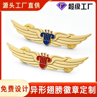 异形翅膀徽章定制狮子会勋章胸章胸针奖章校徽班徽獅子會会徽校徽