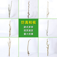 ������֦��Ȼ��֦����ͥԺװ�μٿ�֦����ʽ��������ָ��쾰��֦