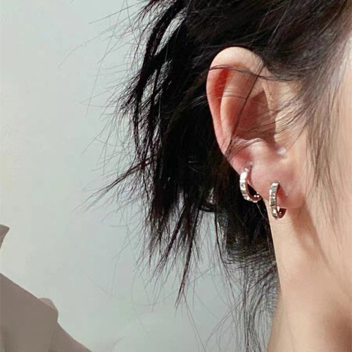 Ins style autumn/winter elegant high-end zircon earrings for women, versatile trendy niche design stud earrings