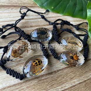 Foreign trade insect specimen bracelet Crystal epoxy embedded resin natural insect specimen amber resin crafts