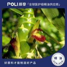 �Ї�������CO2 �H�����l��Ȼ������ ����Ժ��Ħ�����η�����ԭ��