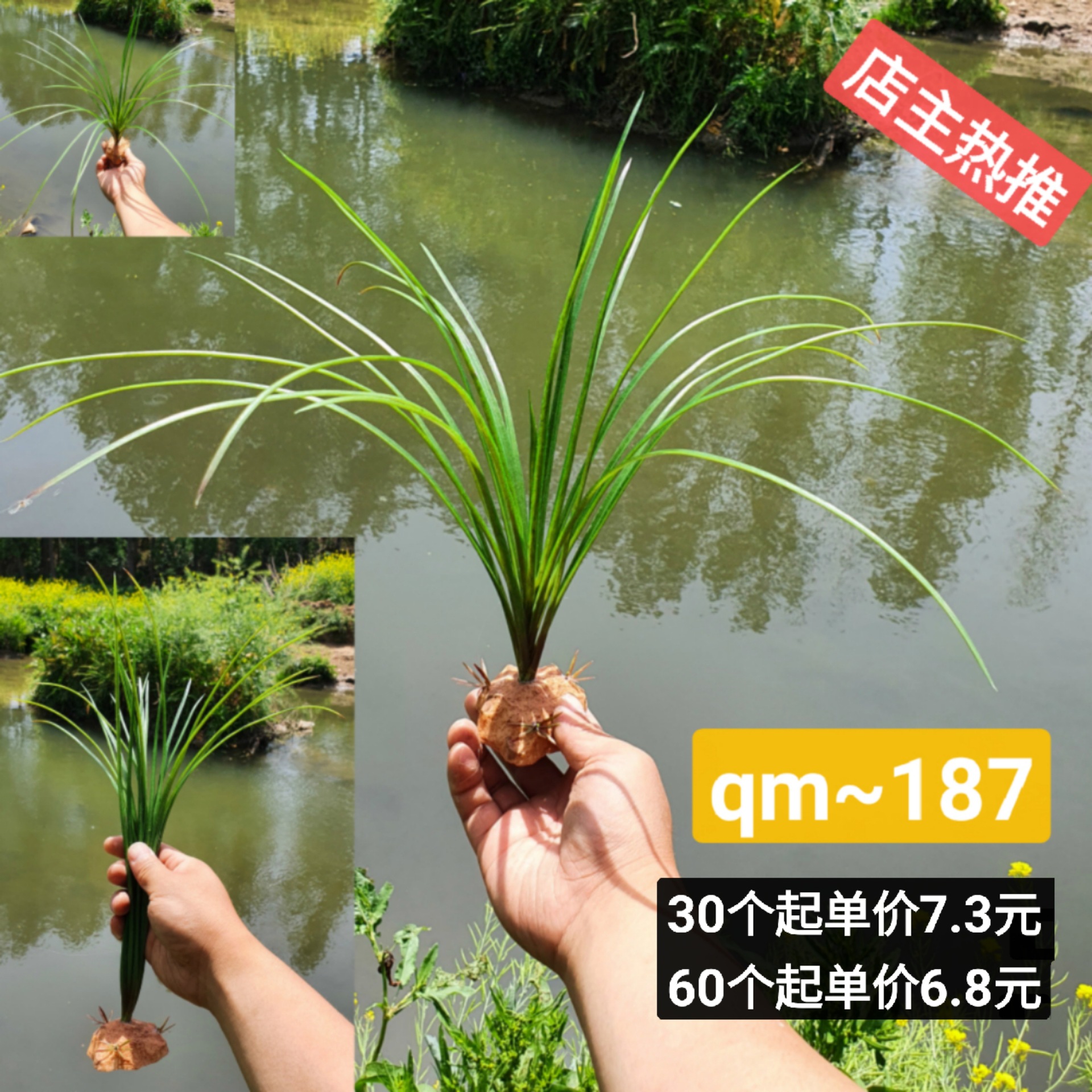 qm-187 (-대형 베이스-)