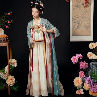Hanfu Women's Adult Antique Tang Style Chest-length Skirt Ru National Style Full Set One-piece Printed Skirt for Spring and Summer