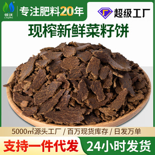 �I�ֲ�����ϰl�͸�������ͿݷN����~��C���r����ե�ЙC����