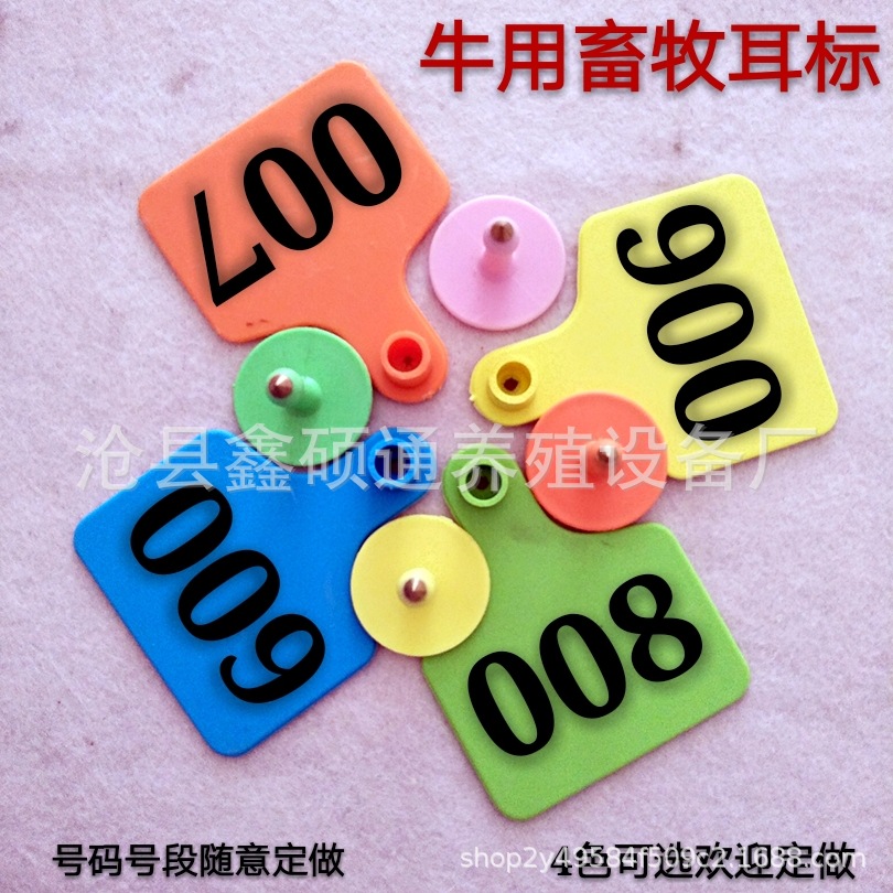 QQ图片20240607114257