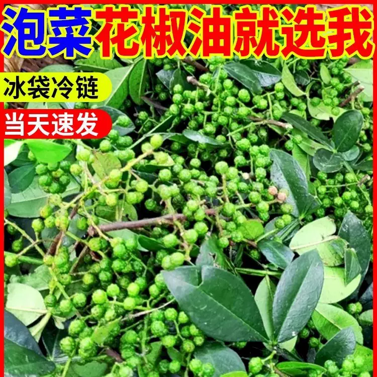 新鲜青花椒特麻特香藤椒麻椒真空保鲜花椒四川特产重庆江津九叶青