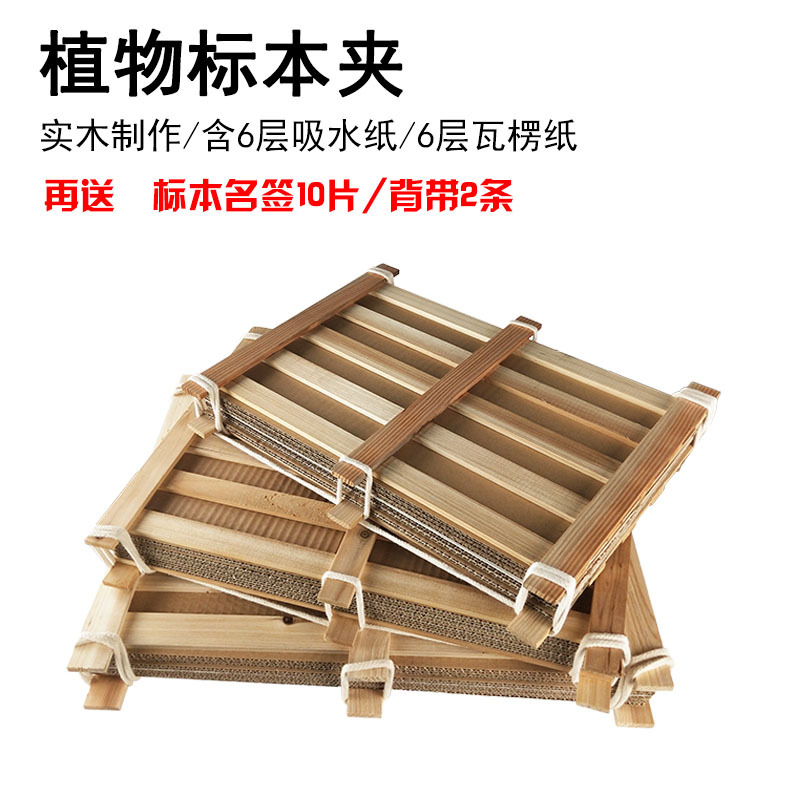 植物标本夹 全套带吸水纸瓦楞纸木条式树叶夹 50x40/45x35/40x30c