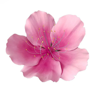 ������滨÷��eva�����ٲ��ѻ��һ����Ļ��̈���ꐻ�c�b���