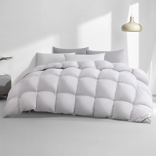 Fuanna down Quilt White Goose down All-Season Quilt Winter Quilt Bedding Warm Single Double Spring and Autumn Thickened Warm